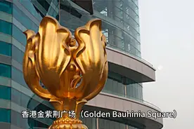 香港金紫荆广场视频封面