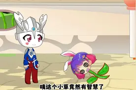 小舞变成了一颗小草视频封面