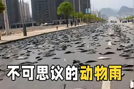不可思议的“动物雨”，上万条鱼从天而降！它们究竟从何而来？