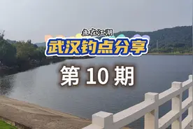 武汉钓点分享之九峰水库钓鱼露营烧烤宝地鲢鳙炮竿路亚休闲大板鲫视频封面