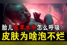羊水中没有氧气，胎儿是怎么呼吸的？其皮肤为什么不会被泡烂？视频封面