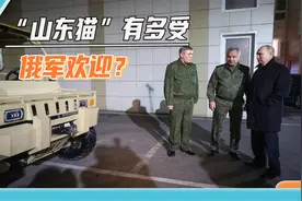 中国“山东猫”在乌克兰狂飙，英国防部才发觉：这车太受俄军欢迎视频封面