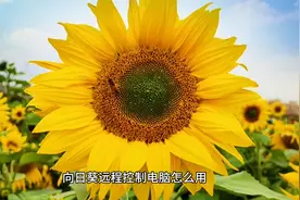 向日葵远程控制电脑怎么用视频封面