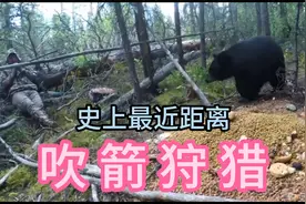五米的距离仍然看不到猎人，熊瞎子真不是白叫的，老外就爱玩刺激视频封面