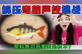 解压奇葩声控挑战！塑料鱼切开里面是“积木”，为什么鱼会流泪？视频封面