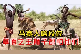 敢从猎豹、狮子口中夺食，马赛人是什么段位？人类能打败狮子吗？视频封面