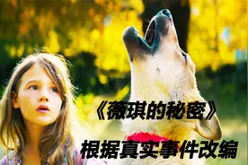 女孩和野狼之间的感人故事，根据真实事件改编视频封面