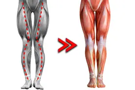 XO型腿矫正训练，每天一练，轻松矫正XO型腿