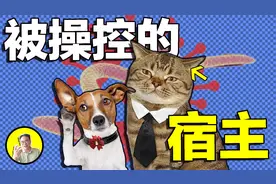 灵魂与微生物到底是什么关系？ 人类可能早已被病毒控制了思想视频封面