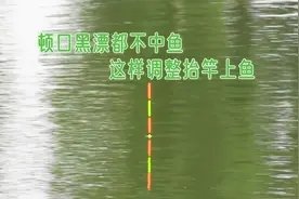 野钓顿口黑漂抬竿不中鱼，无非是这里的问题，稍微处理抬竿就上鱼视频封面