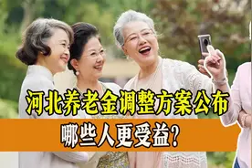 公布了！河北省养老金调整方案公布，两降两不变，哪些人更受益？视频封面