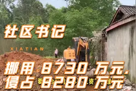 社区书记侵占 8280 万元：农村集体“三资”管理的乱象与治理之道视频封面