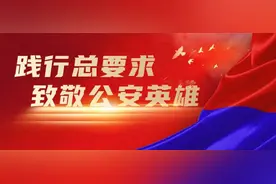 践行总要求，致敬公安英雄｜行走在刀锋上的“马赛克”英雄图片
