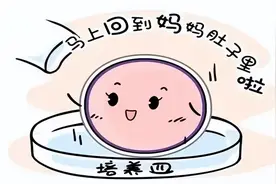 关于试管婴儿 你想知道的都在这里图片