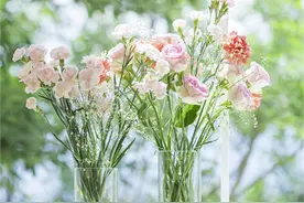 54岁妈妈突然去世，生前最后聊天记录曝光，全家崩溃了……图片