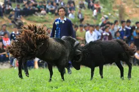 汾酒和茅台，谁才是中国名副其实的“酒王”？图片