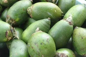 36岁歌手患口腔癌去世，长期嚼槟榔为何会致癌？图片