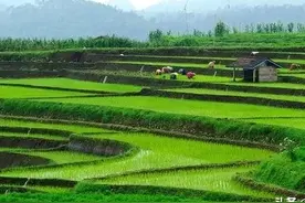 2023年农田地力补贴1205亿元，取消2项土地补贴，农民应该了解图片