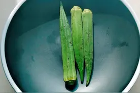 减肥蔬菜——秋葵的播种时间及种植方法介绍图片