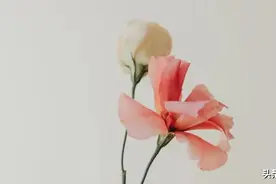 前女友疯狂求复合，她仅用一招，就让男友轻松解决前任图片