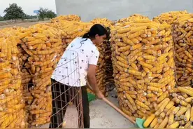 巴铁媳妇嫁河北小伙，定居农村天天干活，小伙直言：娶了个劳工！图片