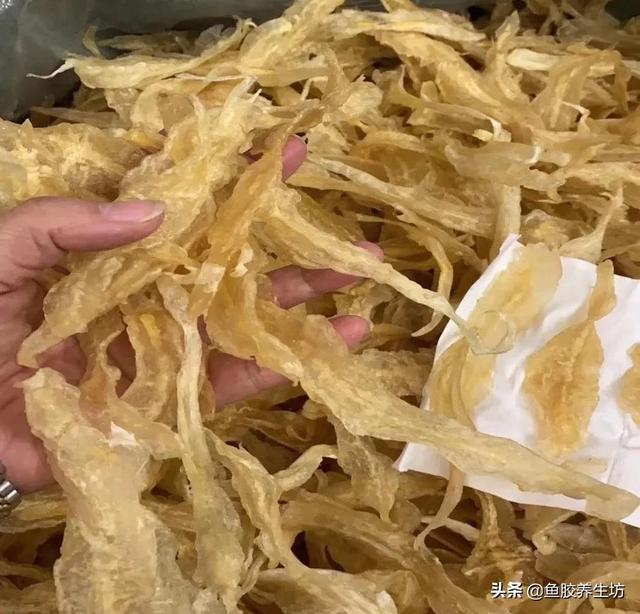 合成鱼胶可以吃吗 2026年合成鱼胶可以吃吗有毒吗 合成鱼胶可以吃吗 2026年合成鱼胶可以吃吗有毒吗