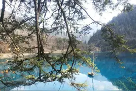 贯彻新《机动车驾驶员培训管理规定》需要进一步明确的几个问题图片