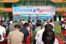 今天上午，正式揭牌！图片