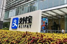 官方回应支付宝无法提现问题，真是多事之年图片