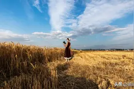 顶级的生存智慧：思危，思退，思变图片