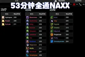 魔兽WLK：全球最快通关NAXX，防战单坦，16把菜刀砍53分钟图片