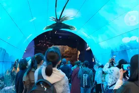 穿越寒武纪之后，孩子们又和海豚玩了一下午图片