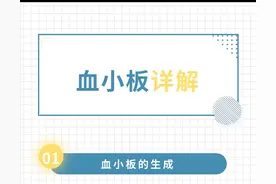 健康丨一文读懂血小板的作用及减少原因图片