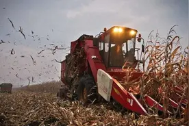 美国农业生产特点有哪些？图片