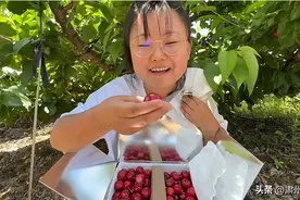 “又黑又胖又土”的26岁甘肃姑娘意外逆袭：原来大部分人的成功，不靠颜值…图片