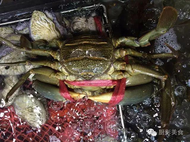 什么海鲜胶原蛋白最多 2025年海鲜含有胶原蛋白吗