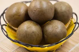 罗汉果是一种什么样的植物图片