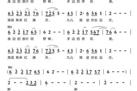 二胡曲《九儿》用三种调怎么拉？图片