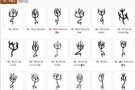 若=掿本字考图片