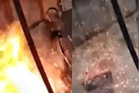 懵！木炭烧烤，水泥地居然爆炸图片