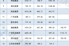 比肩“五大六小”，十大地方能源国企电力版图图片