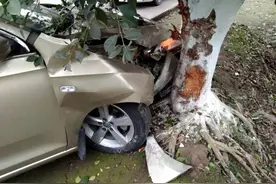 这应该是最能直观说明为什么驾车不能使用手机的一起案例了图片