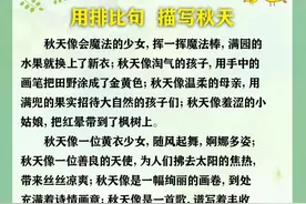 每日晨读:优美句子 完整版有80篇图片