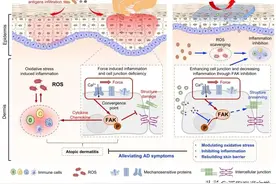 交大科研新成果！图片