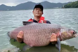 民间有高手钓鱼比赛的直播间人气，居然高过邓刚？不得不服图片