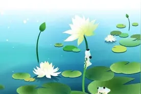 小说：女人缘图片