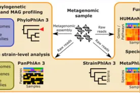 宏基因组菌群注释之MetaPhlAn3图片