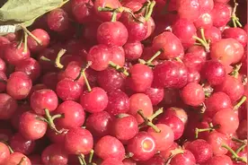 樱桃成熟上市 助力乡村振兴图片