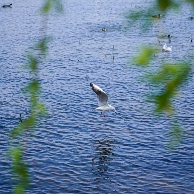 春天就要来大理Color Walk