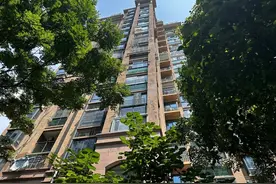 松江一小区外墙装饰条脱落,相关部门：迅速排摸安全隐患,应修尽修图片